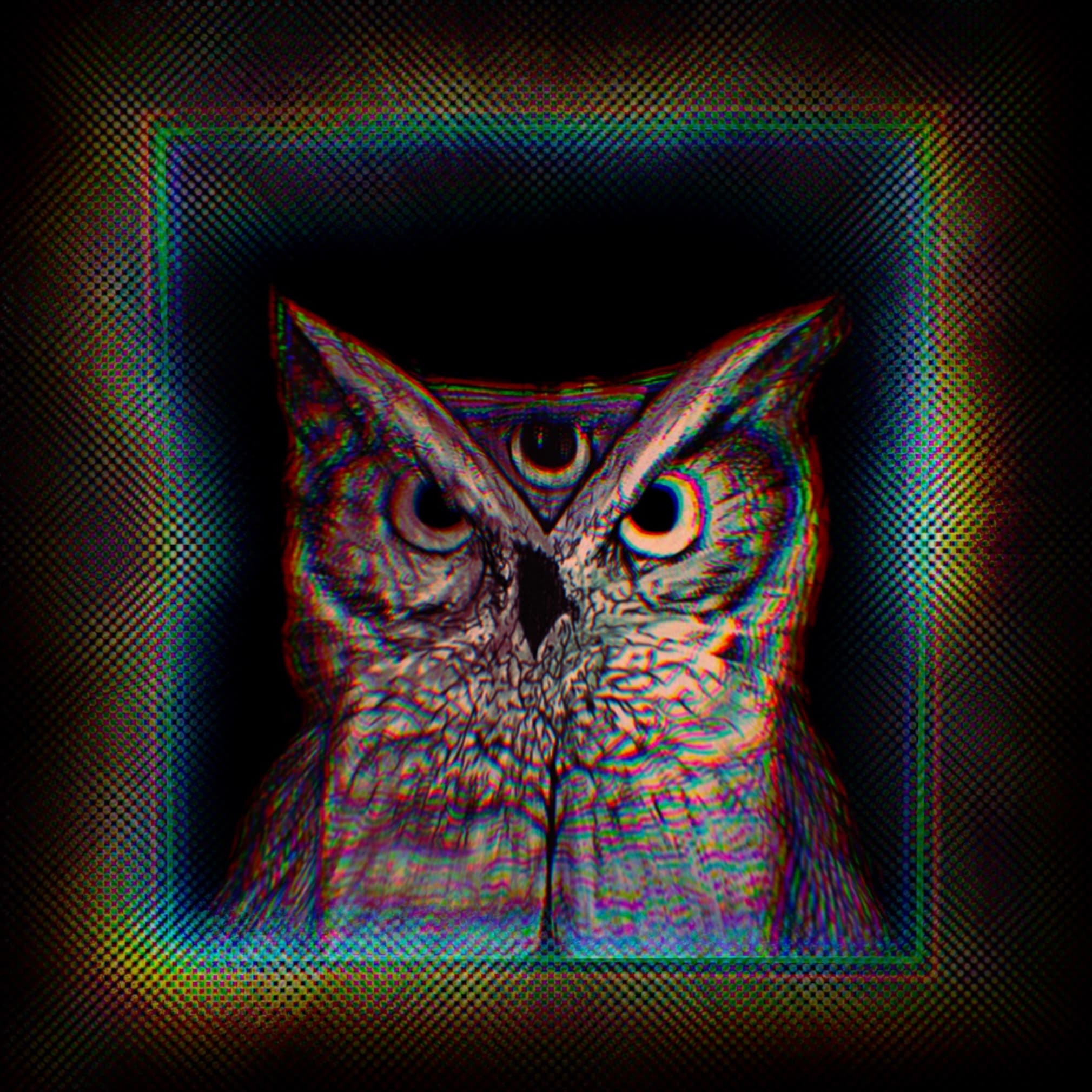 Owlnite